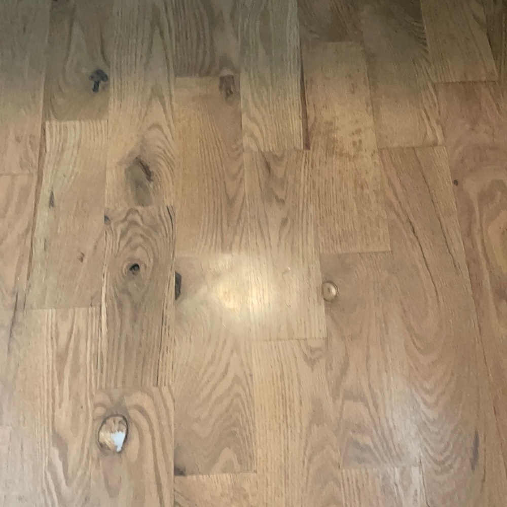 Meet your Posher, Kevin